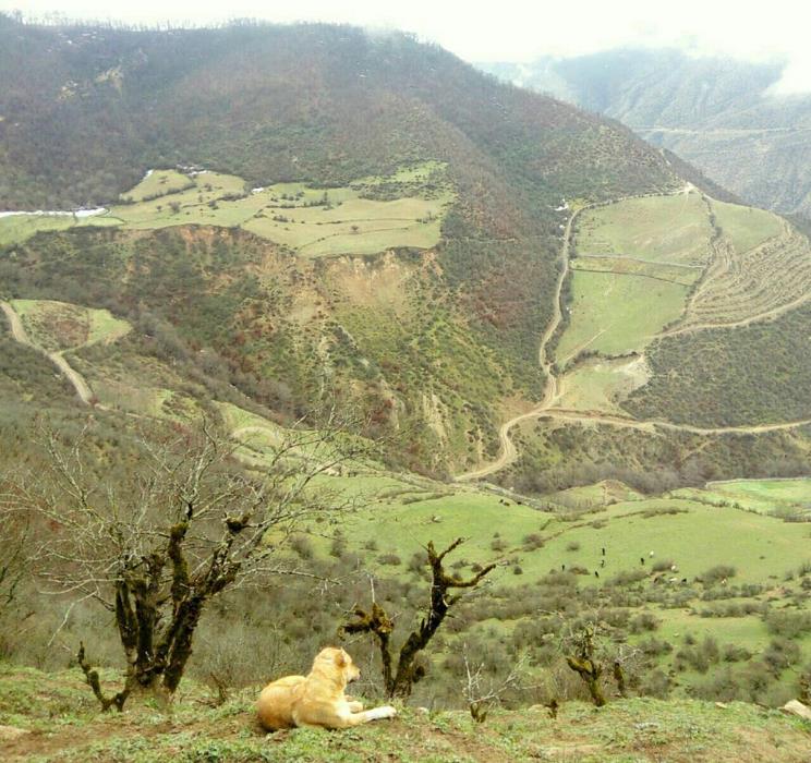 روستاهای سوادكوه ( معرفی ۱۷۵ روستای سوادكوه ) استان مازندران, سوادكوه-381sL0cwSA