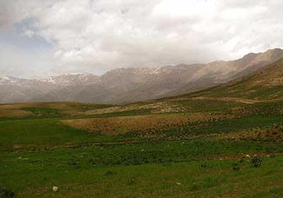سفر به سرزمین لالهها-39bbb3VIA6