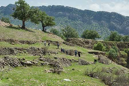 فصل بهار در خوزستان-3HYO8c76dj