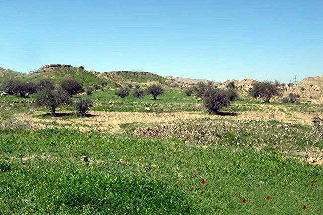دشت چم آسیاب-3Rp7sl4UOA