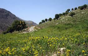 شهر لایبید-3SxHkRxmgw