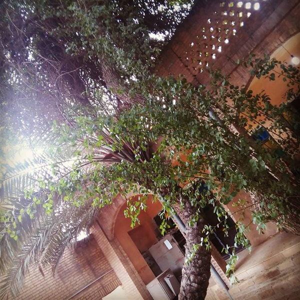 عمارت ماپار اهواز-3UuPXmD3qi
