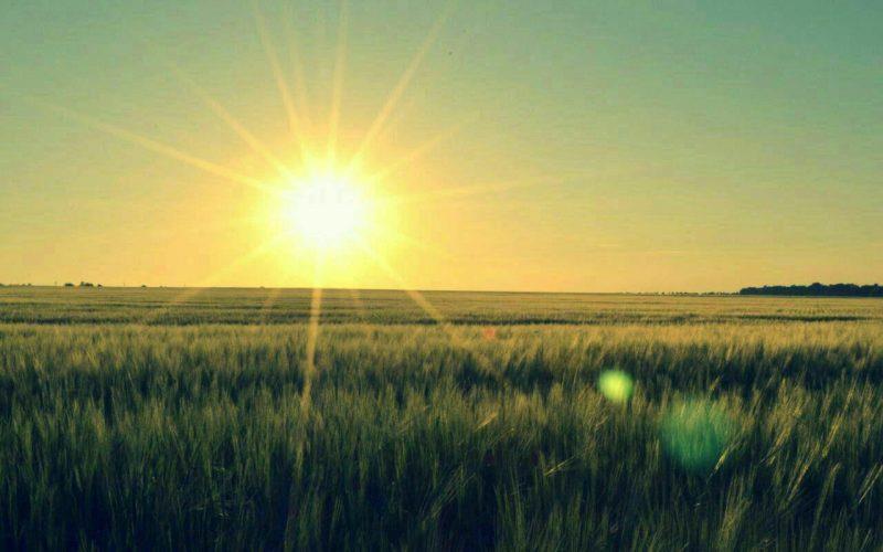 روستای امیرآباد نو-3aXWEpBwng