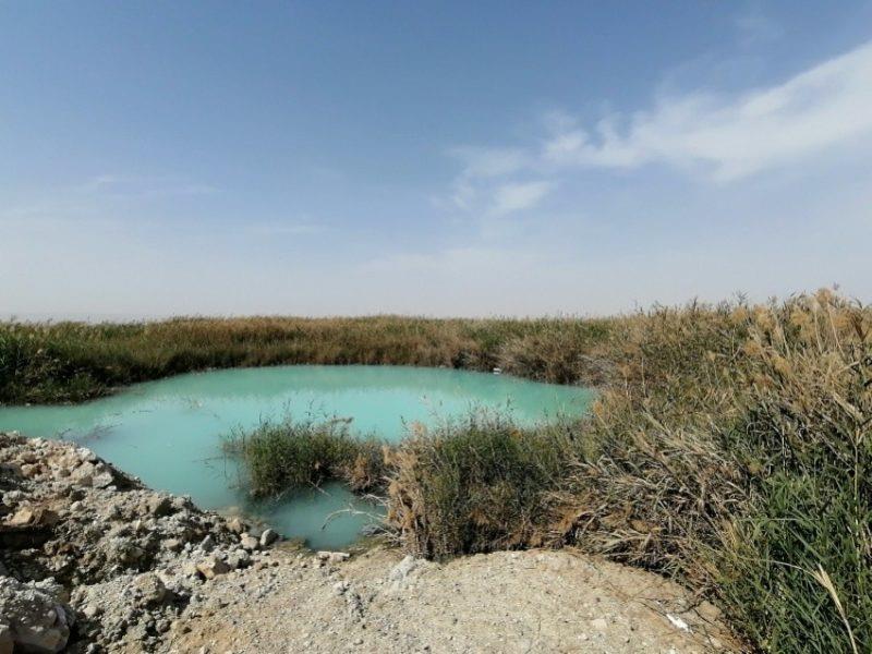 چشمه آبگرم میر احمد تنگستان-3b1YjWoazz