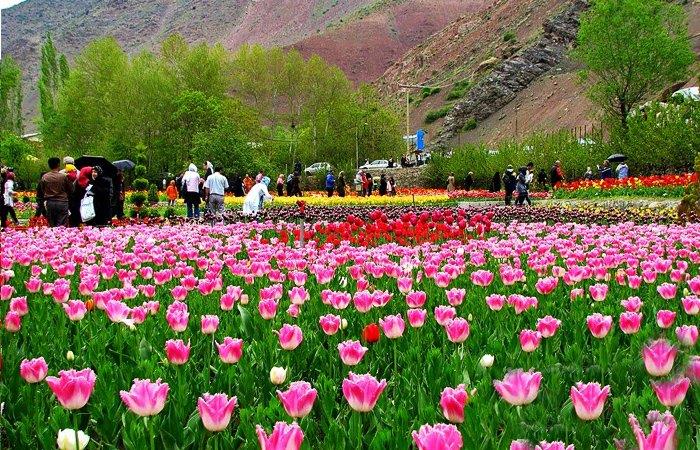 جاهای دیدنی محلات در بهار-3bTX5ZoyxS