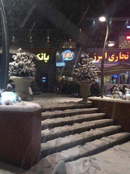 گریل مكزیكی پاترون-3fm0I5tp43