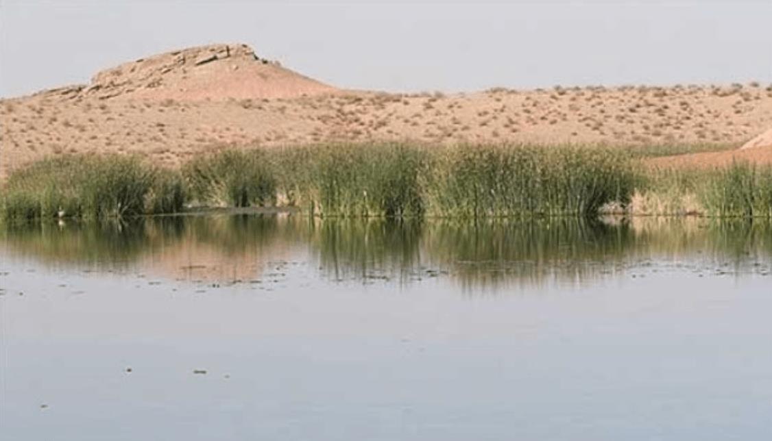 تالاب بهشت معصومه قم-3nQhwv3NhD