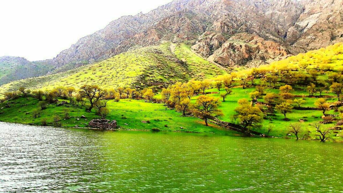روستاهای سروآباد ( معرفی ۷۷ روستای سروآباد )-3oKd0MrncZ