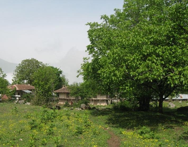 روستای چلی علیا-3qSbqjUKNz