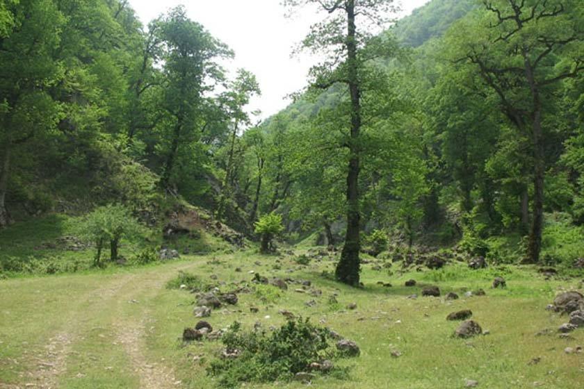 روستای چناربن زارم نكا-3sGFAdAdgi