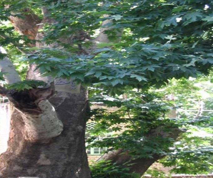 روستای موركان-3tUACzwimF