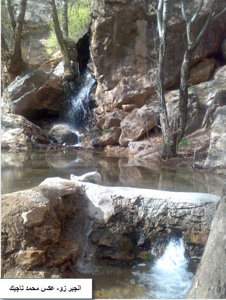 دره انجیرزو-408506HJts