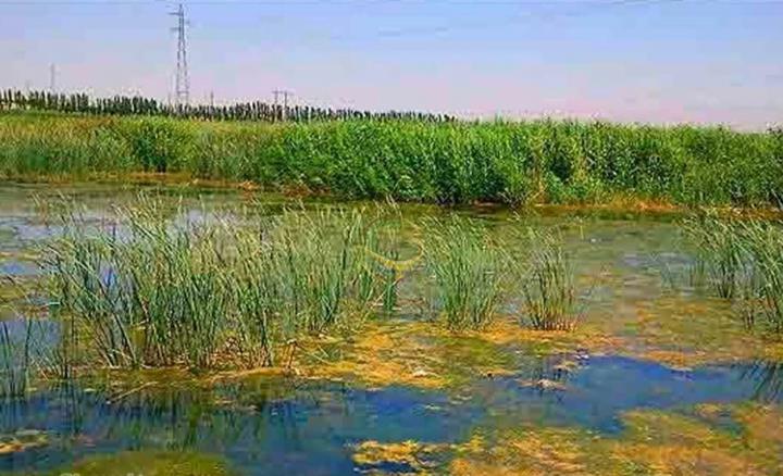 تالاب امامزاده پیرسلمان اسد آباد-41xNZezJqo