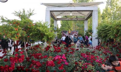 باغ هنر شیراز استان فارس, شیراز-4BjLeZUVrT