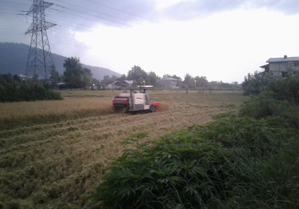 روستاهای لاهیجان ( معرفی ۱۸۱ روستای لاهیجان )-4EFBGuNDhD