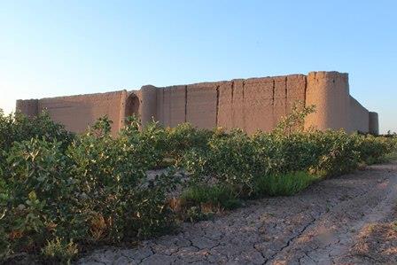 مسجد خواجه شریف انار و قلعه داوودآباد-4FcPyDINwV