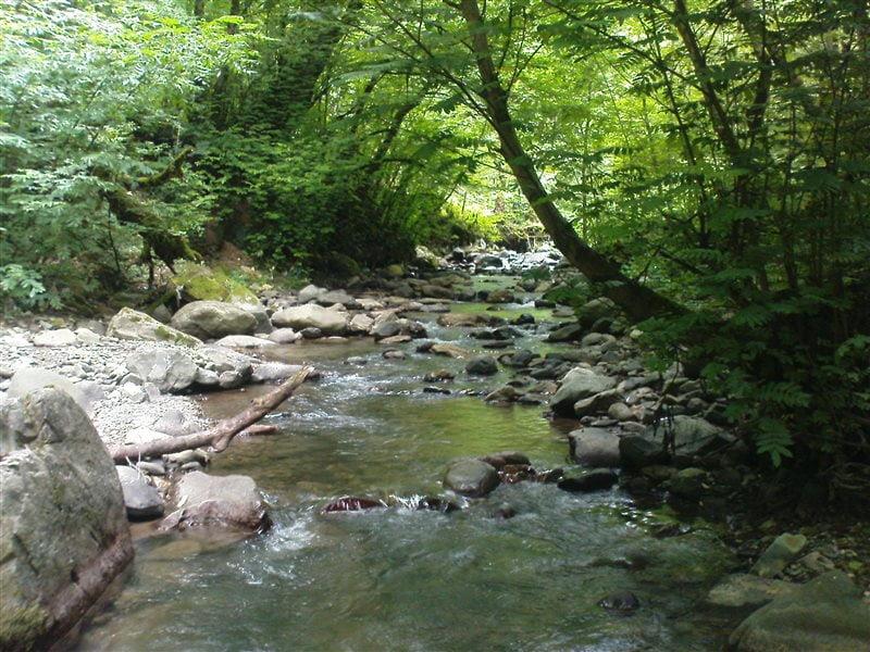 روستای بالارود سیاهكل-4TNeHki4Xd