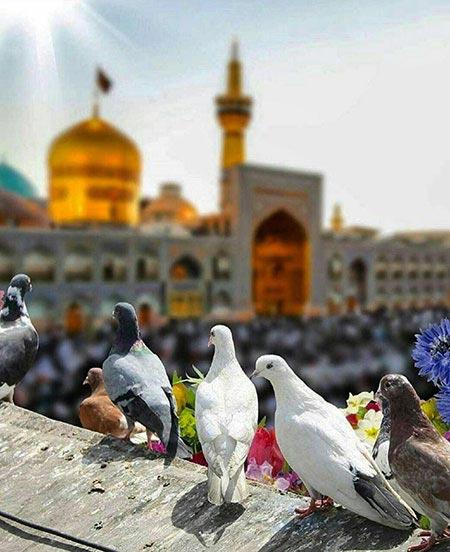 تخفیفات سفر با طعم بهار-4a6EJBqyjv