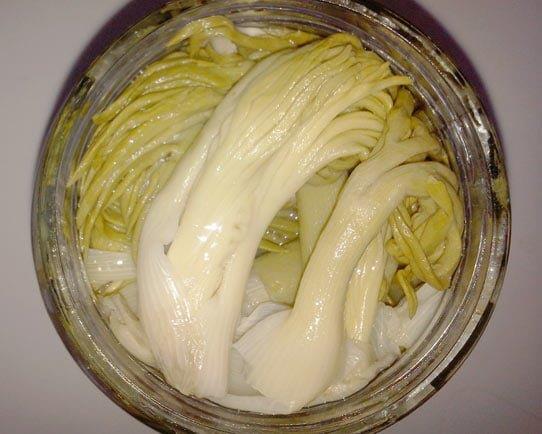 طرز تهیه انواع ترشی خانگی در شهرهای مختلف-4a9wMoOSn1