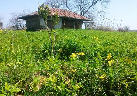 جاذبه های گردشگری بابلسر-4hRRVpW1Ih