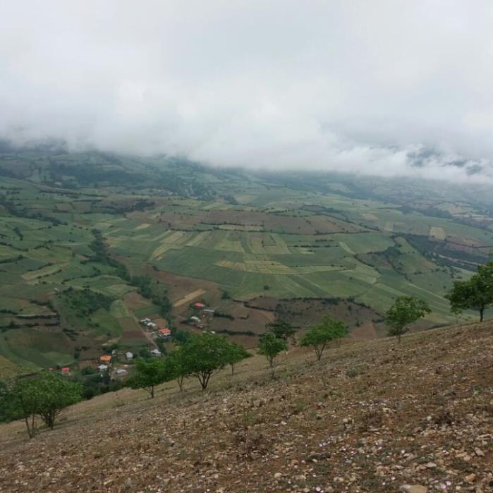 روستای چناربن-4rE0ErmOCi