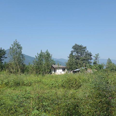 روستای پاشكم-4rypqrpIGF