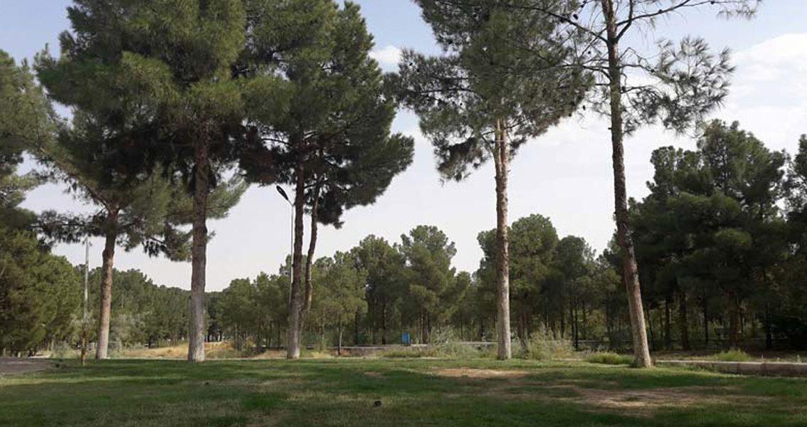 پارك شهید چمران ساوه استان مركزی, ساوه-505mr6dYW0