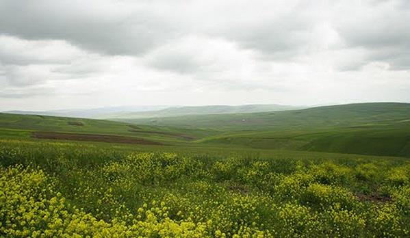 منطقه حفاظت شده مغان-50FCS8Ugxi
