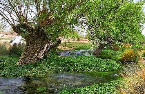 روستای كوهنجان-56DlUKccem