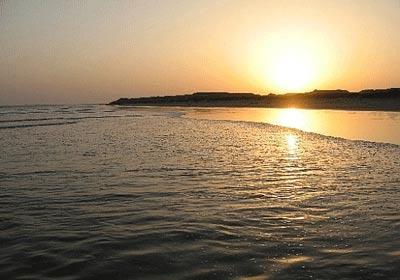 سفر به جزیره شگفتیها-5DqWPFU7oo
