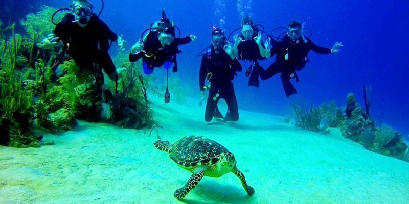 برای غواصی كردن به كجای ایران برویم !-5GnCsW2Nvt