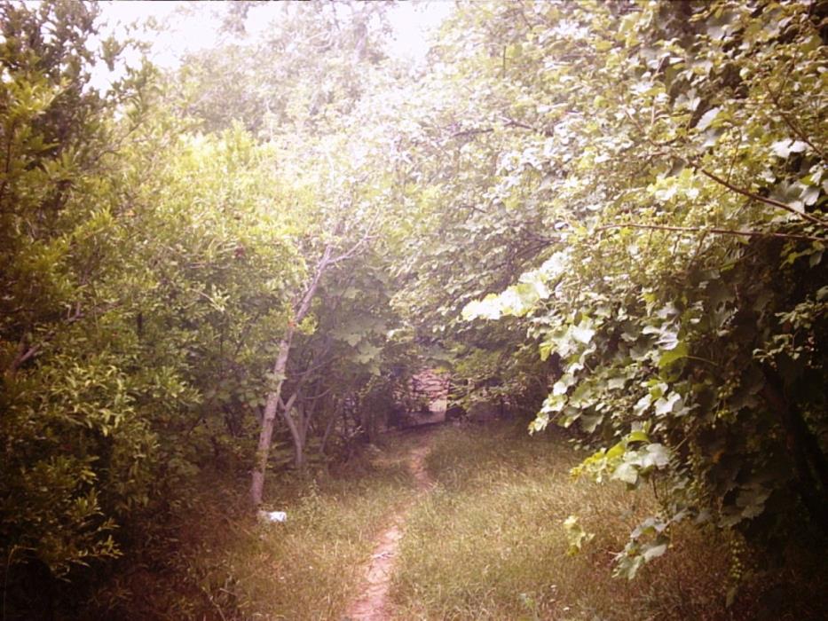 روستای قبادبزن كهك-5HaSaGLWRM