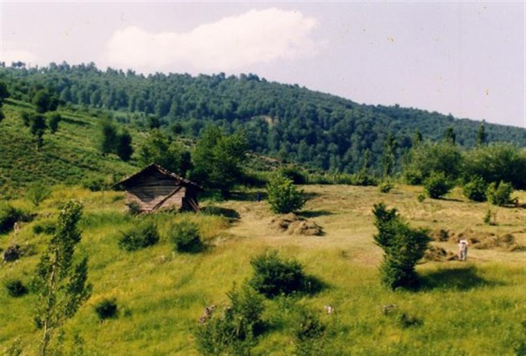 روستای برسه-5MxG5mA3AO