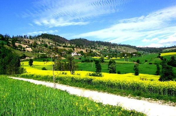 روستای پاسند-5aBqIgpRoq