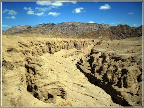 كال جنی-5hHp1oTnxo