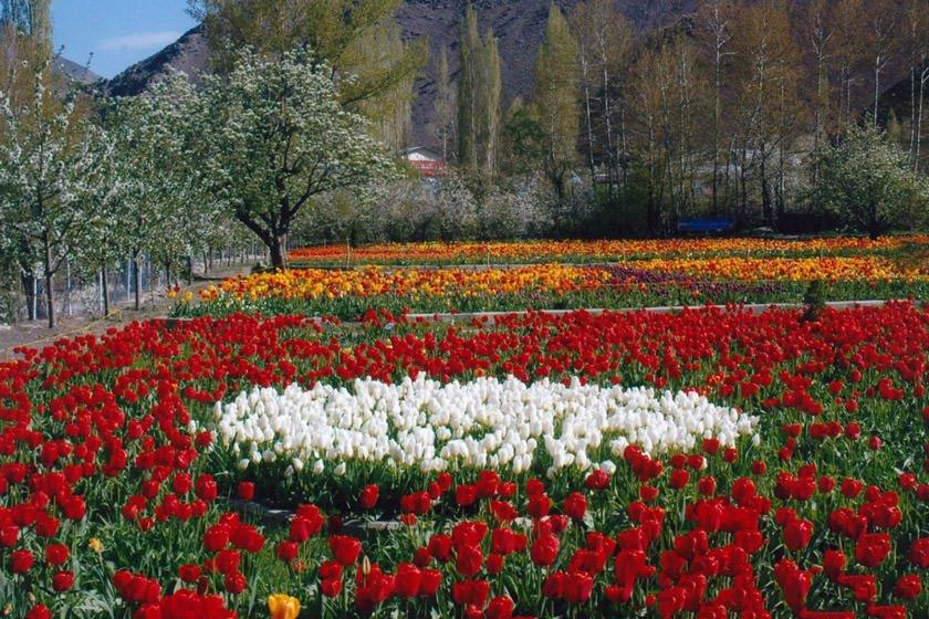 مكانهای مناسب اطراف تهران برای پیك نیك-5xtcqGZpZQ