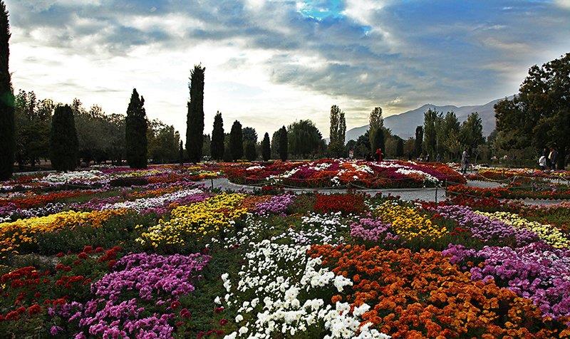 باغ گیاه شناسی ملی-60Z9u9zEZ2
