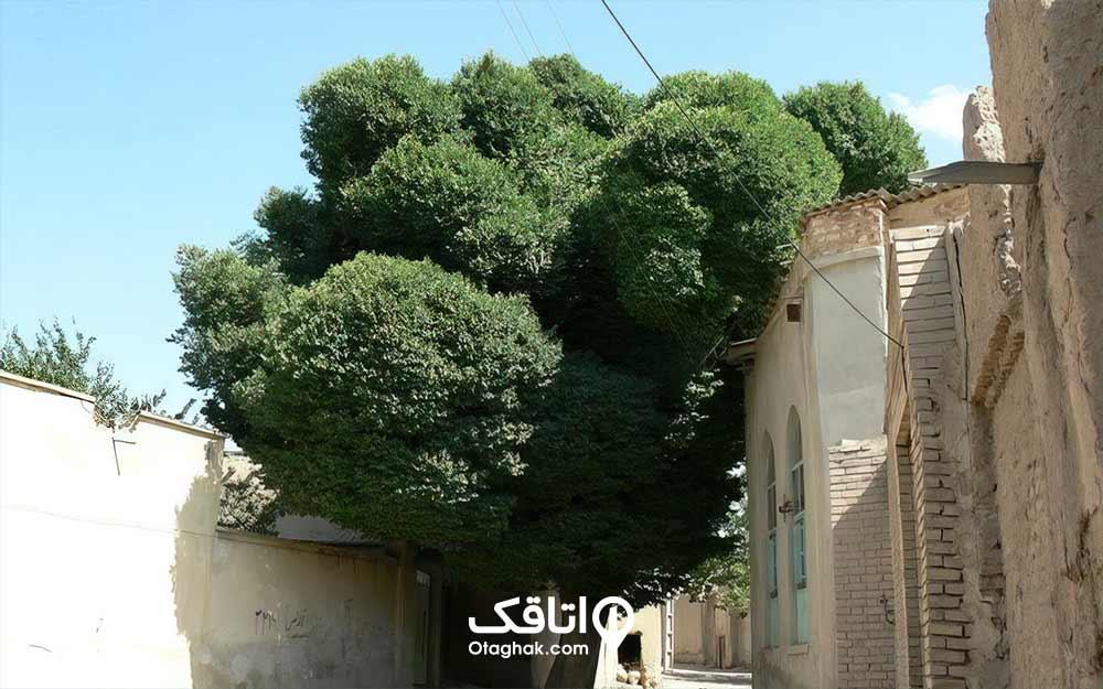 روستای فوجرد تفرش-663ebTYyWo