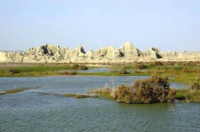 سفر به جزیره شگفتیها-6ApMczhlnb