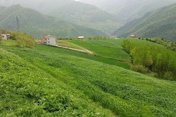 روستای میان رستاق-6DTWAbG2VU
