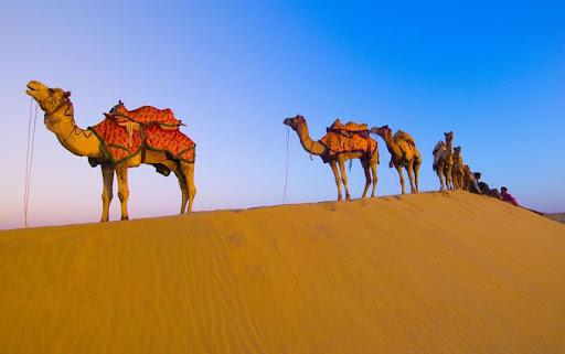 كویر ریگ زرین یزد استان یزد, یزد-6JiAhskNaN