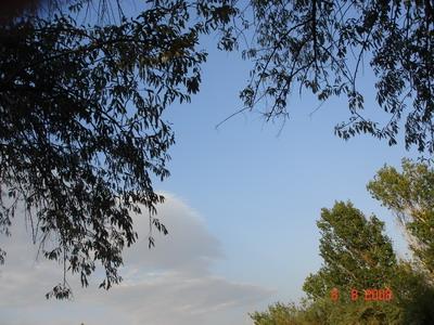 زنوز-6N47D9sMXO
