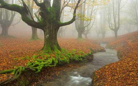 پارك بسیار زیبا و اعجاب انگیز در اسپانیا-6OwmNY9GjK