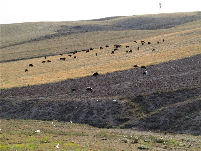 روستای نیماور زنجان-6Ygq5Z1HkV