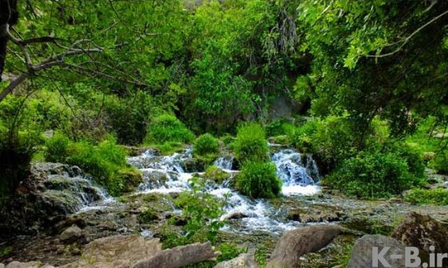 رود رونه-6b66AHsU33