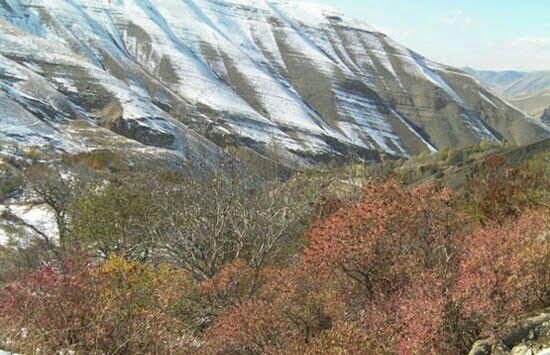 روستای خور ساوجبلاغ-6kcdKgBz7I