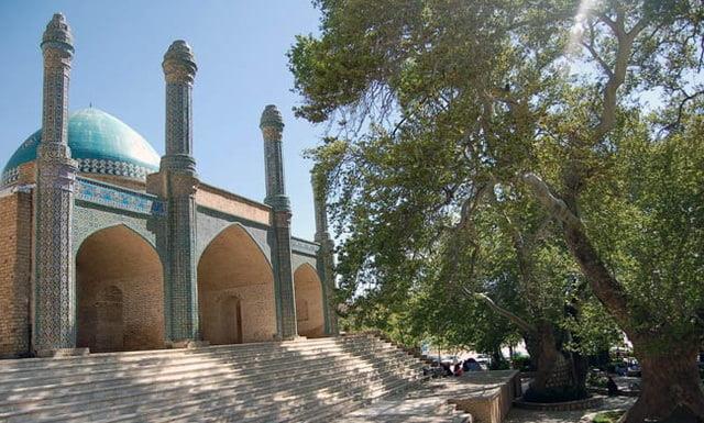 درختان چناركهنسال بش قارداش-6pwzVJULXo