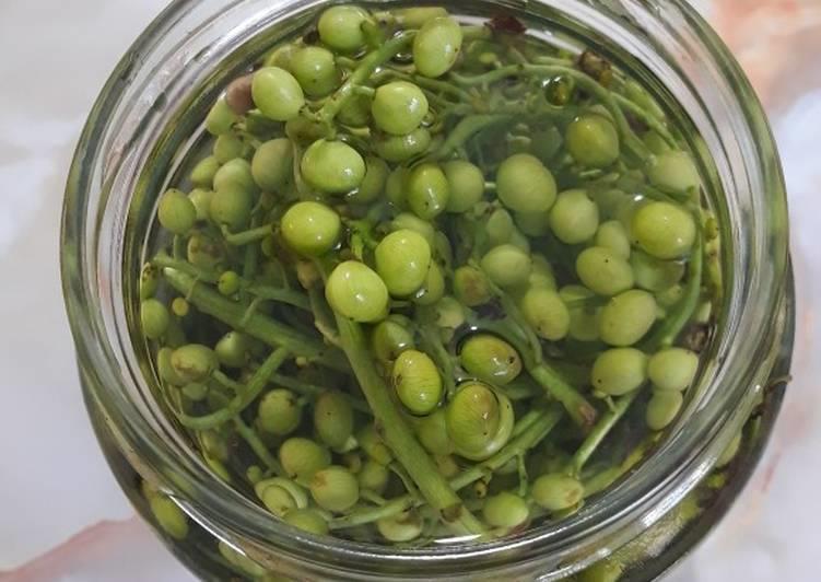 طرز تهیه انواع ترشی خانگی در شهرهای مختلف-6ufahU3gSj