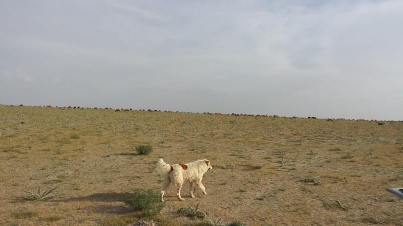 روستای ساراب-6xg40Ebqa3