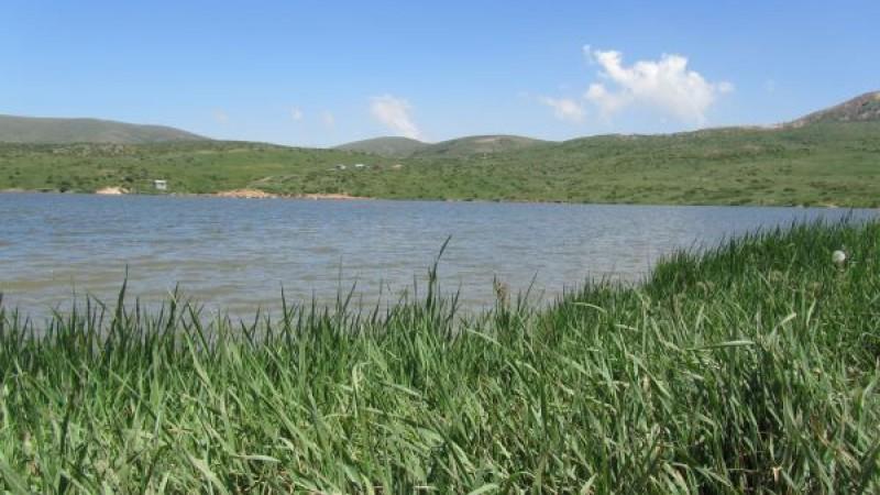 خولشكوه عمارلو-7Fhhe0UtRL
